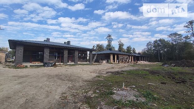 одноэтажный дом с камином, 160 кв. м, кирпич. Продажа в Ирпене район Ирпень фото 1 одноэтажный дом с камином, 160 кв. м, кирпич. Продажа в Ирпене район Ирпень фото 1