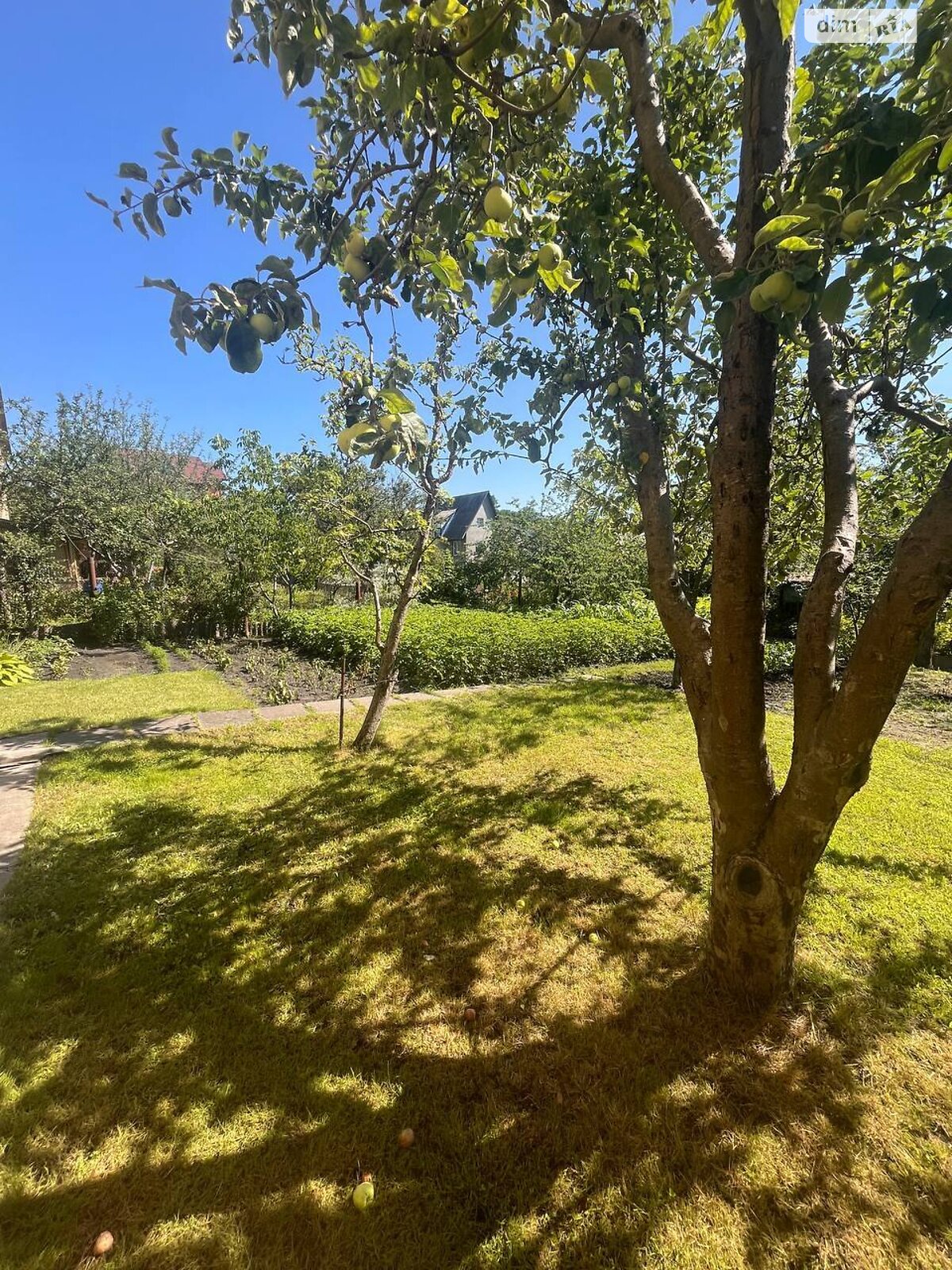 двоповерховий будинок, 122.6 кв. м, цегла. Продаж в Ірпені, район Ірпінь фото 1 двоповерховий будинок, 122.6 кв. м, цегла. Продаж в Ірпені, район Ірпінь фото 1