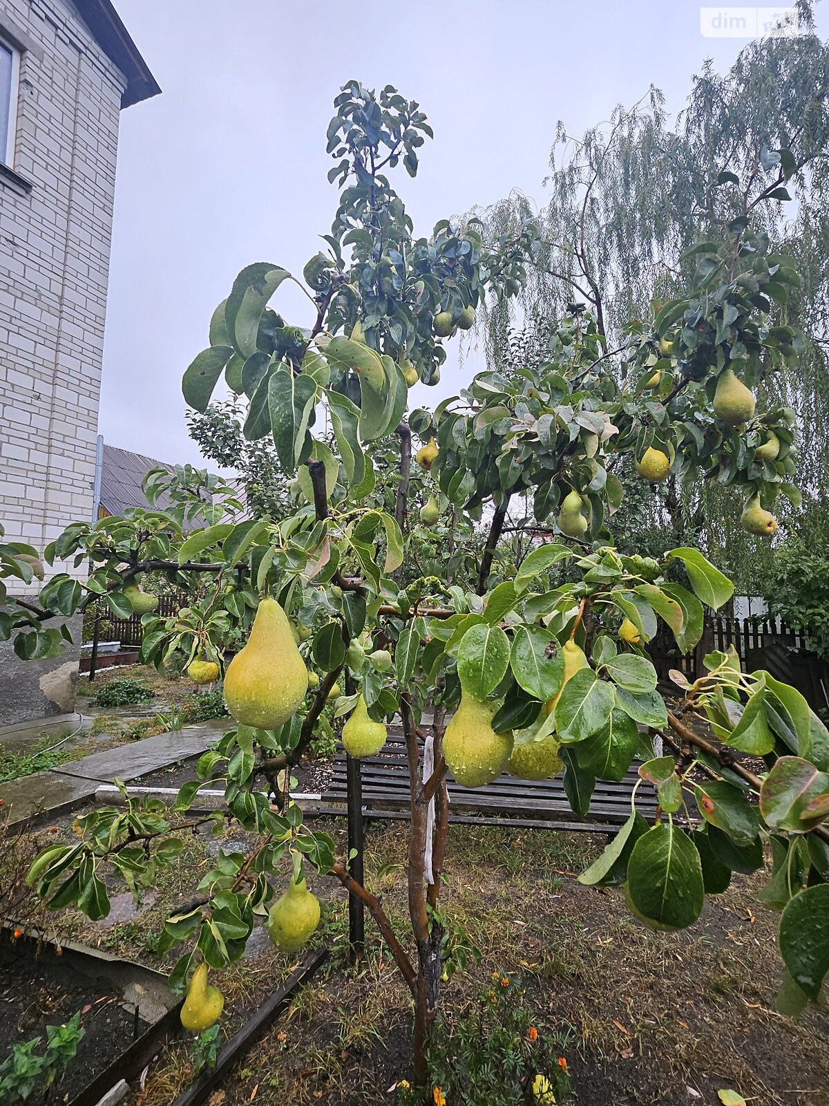 триповерховий будинок з опаленням, 308.7 кв. м, цегла. Продаж в Ірпені, район Ірпінь фото 1 триповерховий будинок з опаленням, 308.7 кв. м, цегла. Продаж в Ірпені, район Ірпінь фото 1