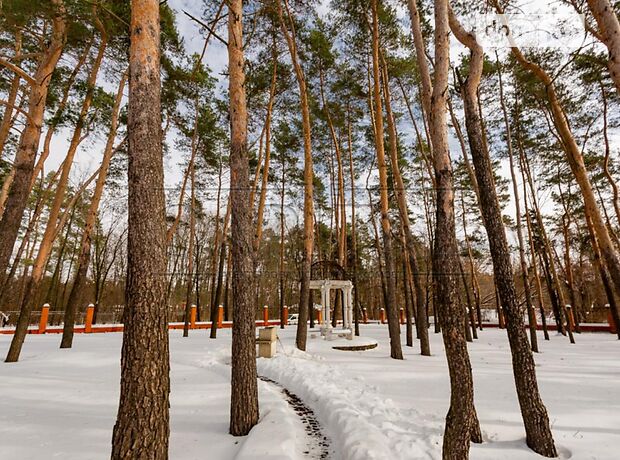 двухэтажный дом, 350 кв. м, кирпич. Продажа в Ворзеле (Киевская обл.) фото 1 двухэтажный дом, 350 кв. м, кирпич. Продажа в Ворзеле (Киевская обл.) фото 1