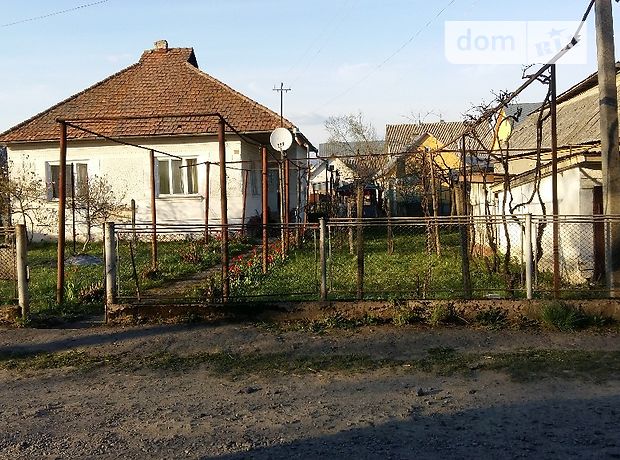 одноэтажный дом с садом, 120 кв. м, кирпич. Продажа в Кушнице (Закарпатская обл.) фото 1 одноэтажный дом с садом, 120 кв. м, кирпич. Продажа в Кушнице (Закарпатская обл.) фото 1