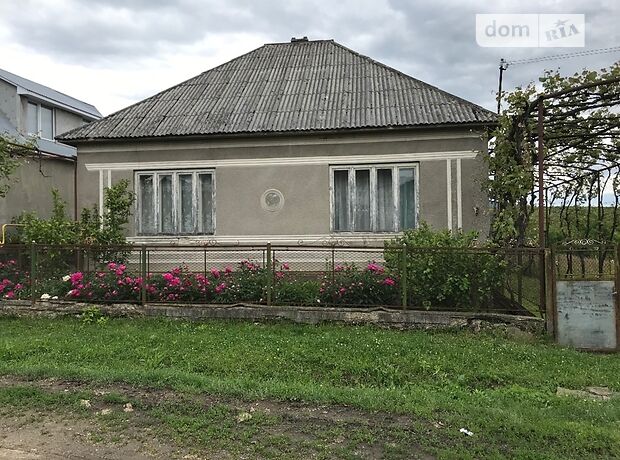 одноэтажный дом с садом, 74 кв. м, кирпич саманный. Продажа в Загатье (Закарпатская обл.) фото 1 одноэтажный дом с садом, 74 кв. м, кирпич саманный. Продажа в Загатье (Закарпатская обл.) фото 1