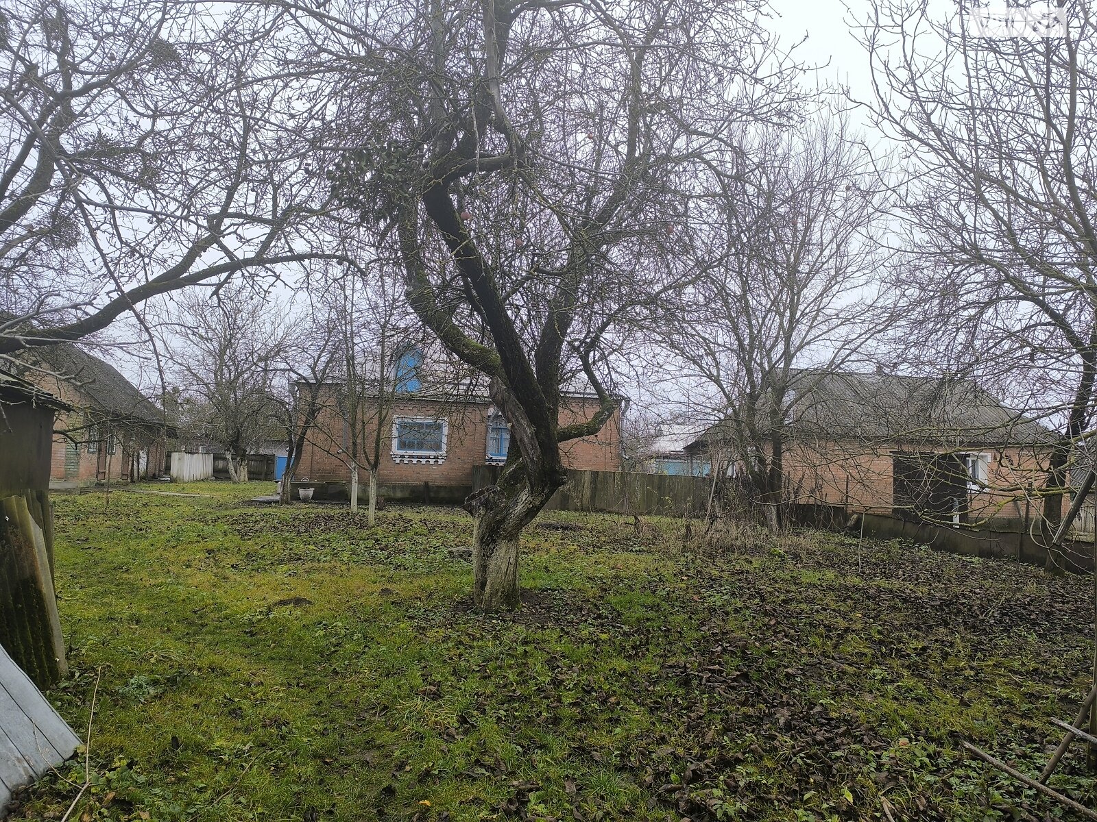 одноповерховий будинок з верандою, 73.3 кв. м, цегла. Продаж у Іскрині фото 1