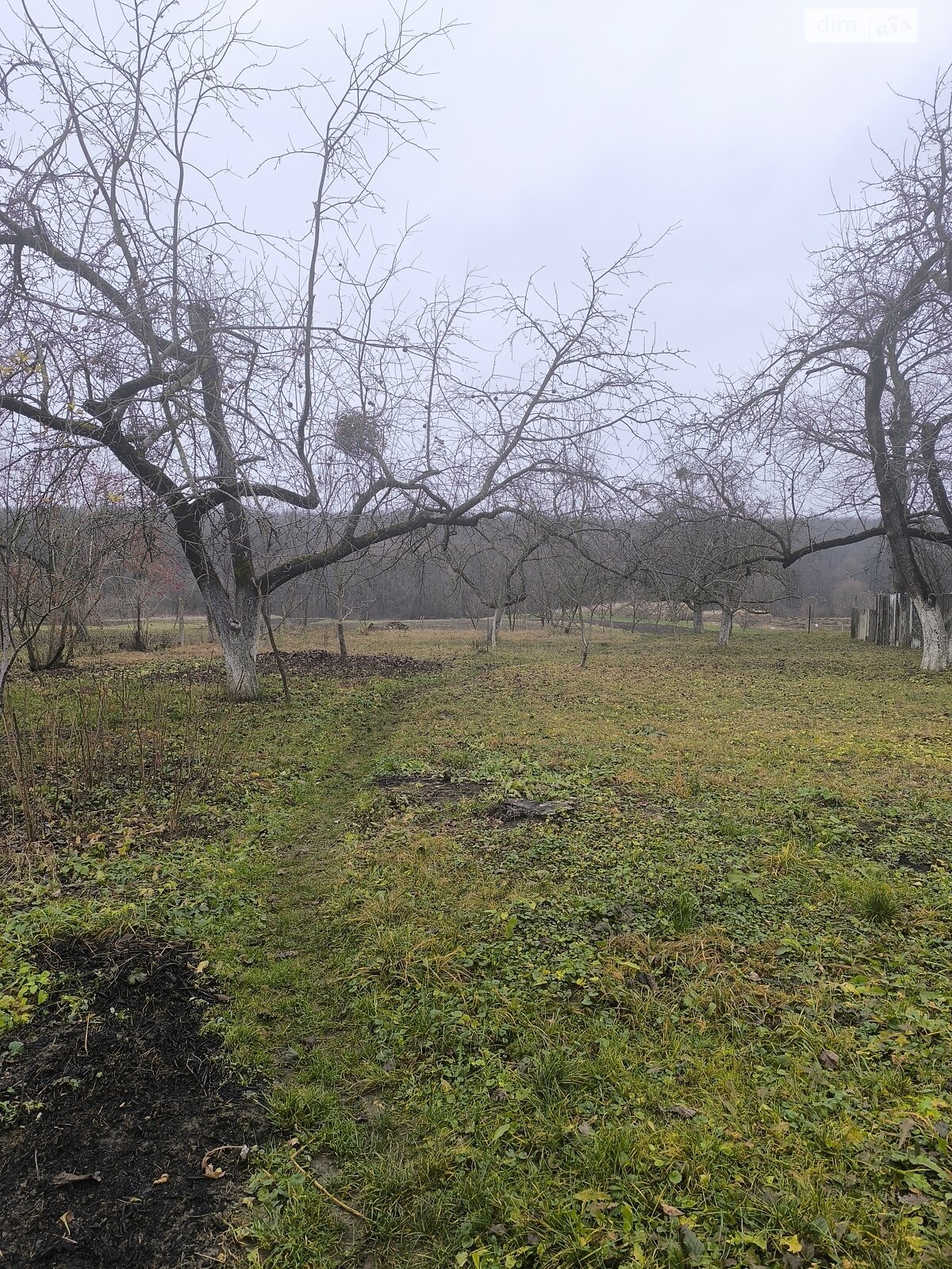 одноповерховий будинок з верандою, 73.3 кв. м, цегла. Продаж у Іскрині фото 1