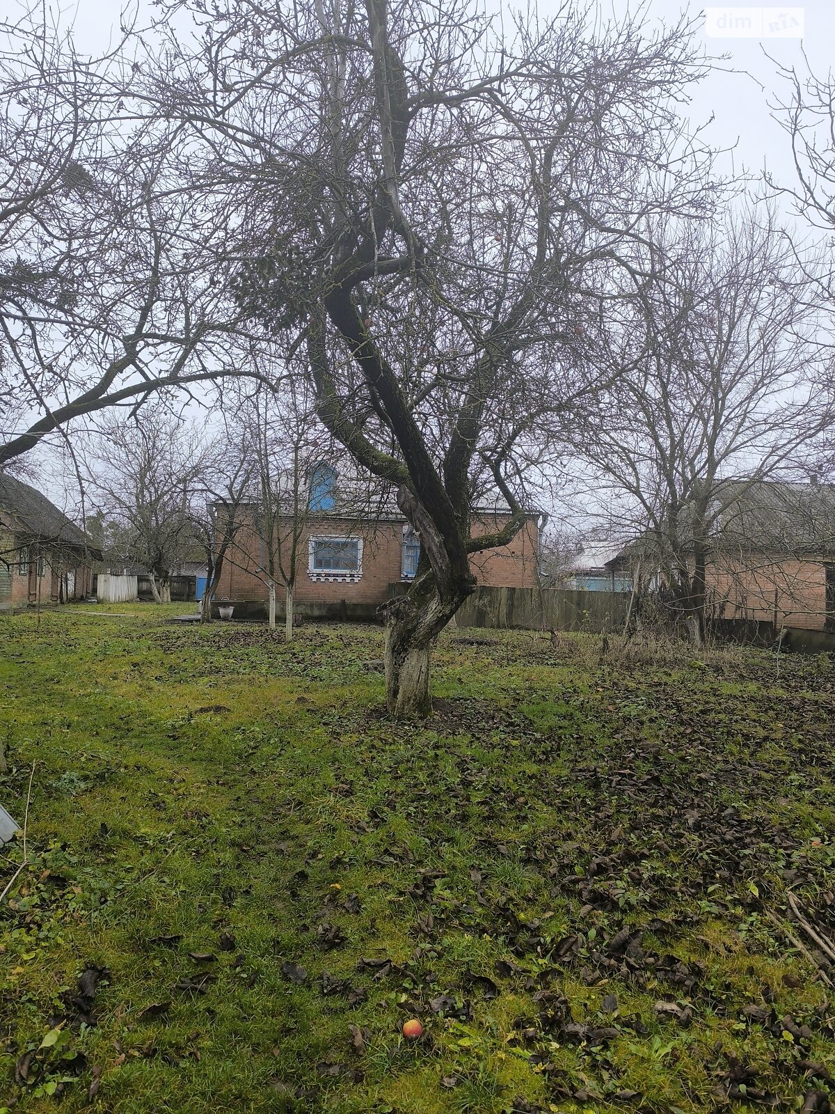 одноповерховий будинок з верандою, 73.3 кв. м, цегла. Продаж у Іскрині фото 1