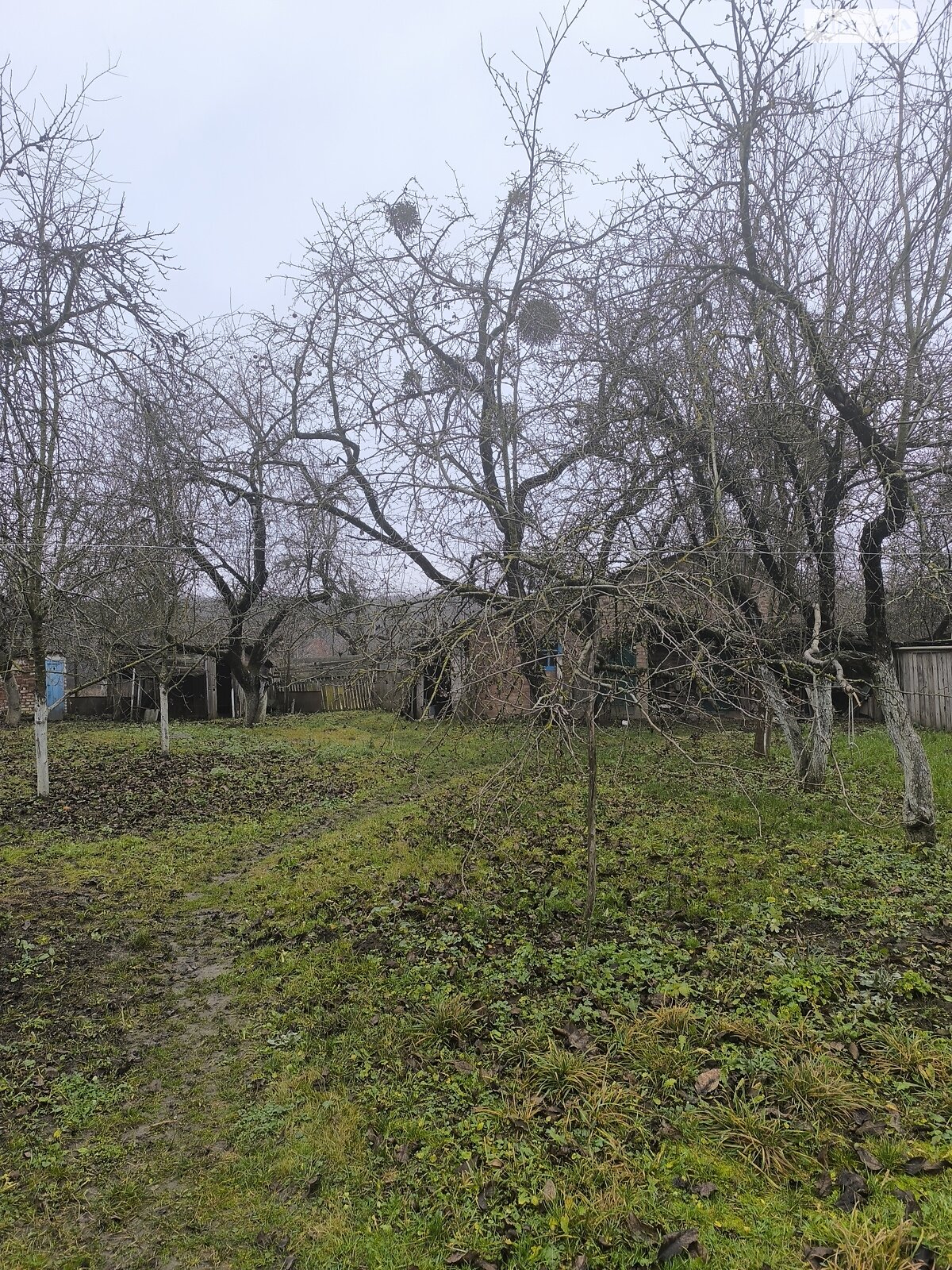 одноповерховий будинок з верандою, 73.3 кв. м, цегла. Продаж у Іскрині фото 1