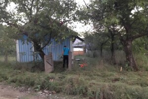 одноэтажный дом, 43 кв. м, сруб. Продажа в Испасе фото 2
