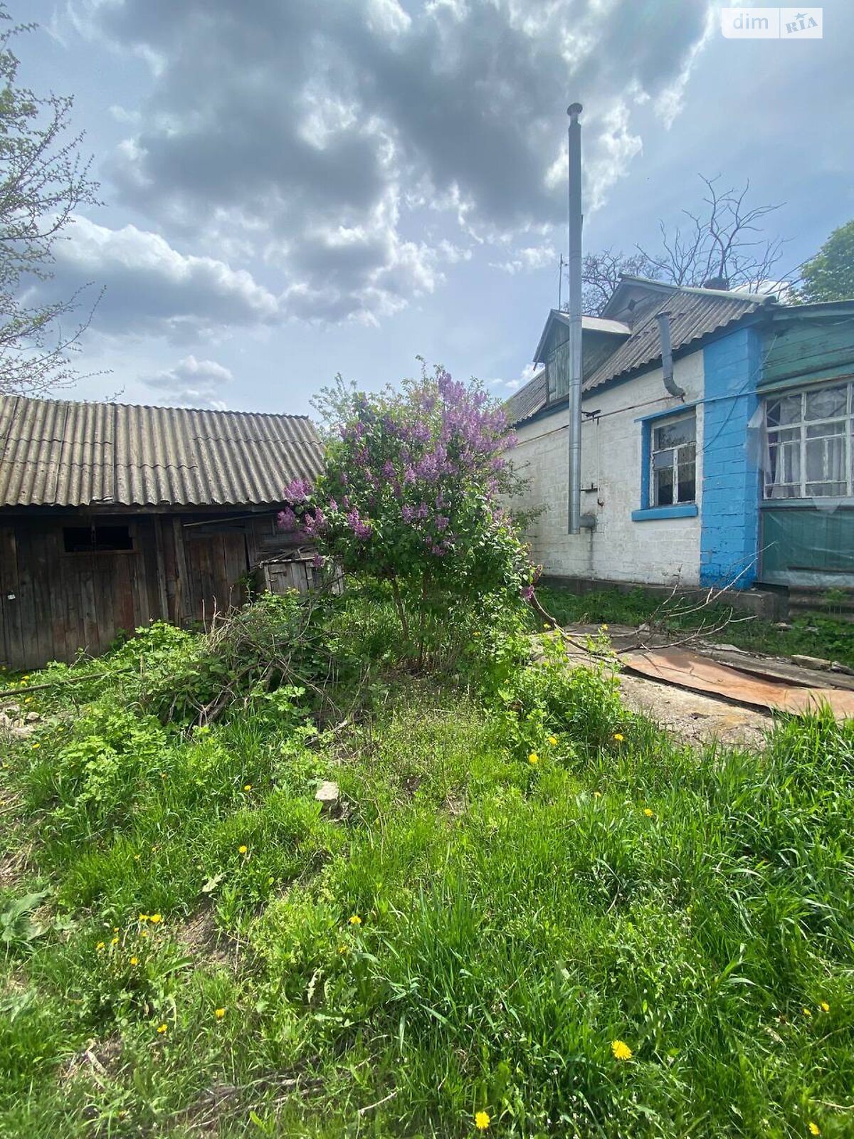 одноповерховий будинок, 68.3 кв. м, дерево та цегла. Продаж у Іванкові фото 1 одноповерховий будинок, 68.3 кв. м, дерево та цегла. Продаж у Іванкові фото 1