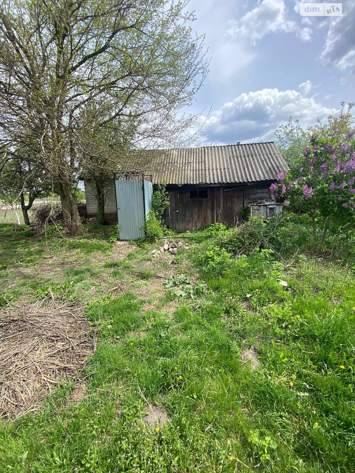 одноповерховий будинок, 68.3 кв. м, дерево та цегла. Продаж у Іванкові фото 1 одноповерховий будинок, 68.3 кв. м, дерево та цегла. Продаж у Іванкові фото 1