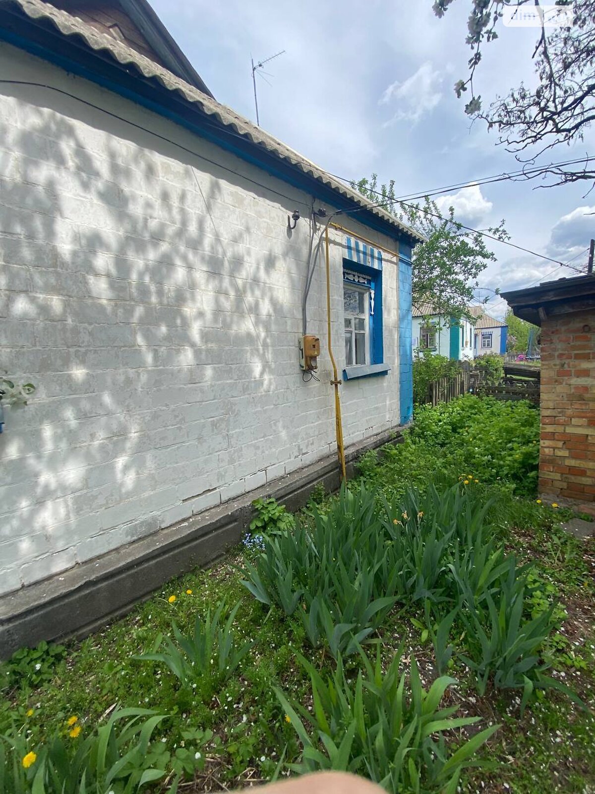 одноповерховий будинок, 68.3 кв. м, дерево та цегла. Продаж у Іванкові фото 1 одноповерховий будинок, 68.3 кв. м, дерево та цегла. Продаж у Іванкові фото 1
