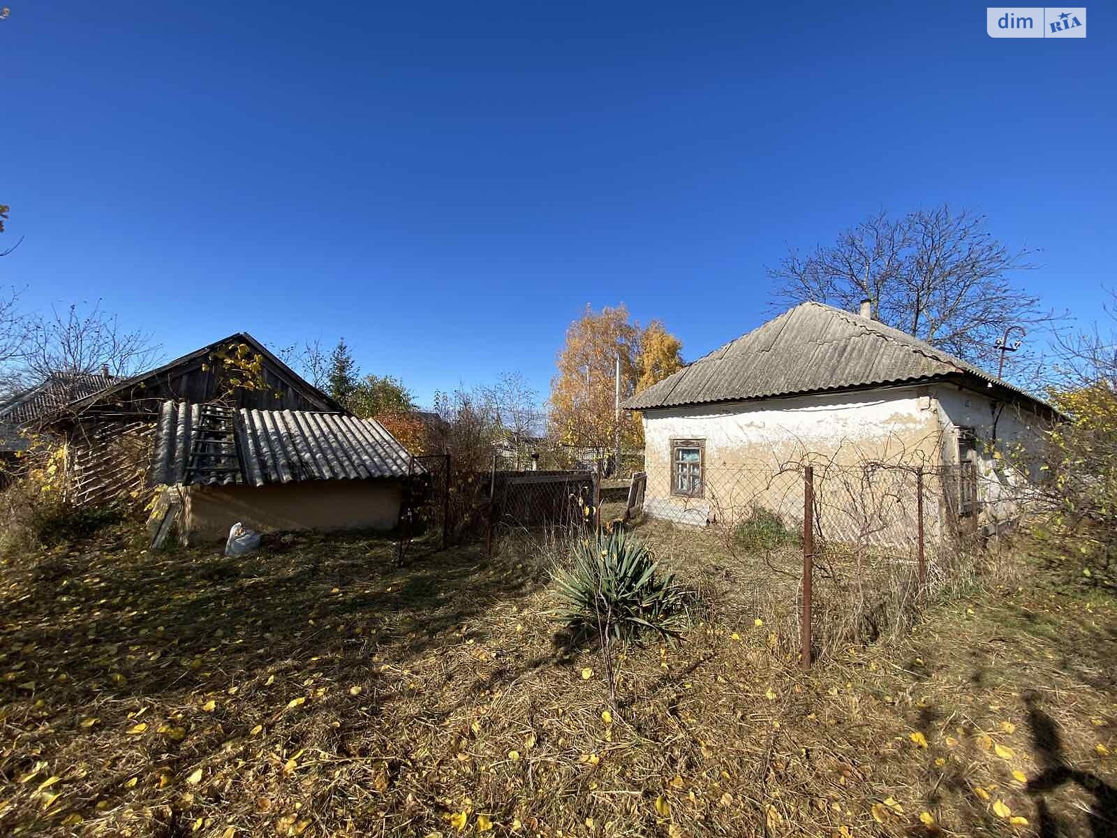 одноповерховий будинок з опаленням, 50 кв. м, дерево та цегла. Продаж у Іванкові фото 1 одноповерховий будинок з опаленням, 50 кв. м, дерево та цегла. Продаж у Іванкові фото 1