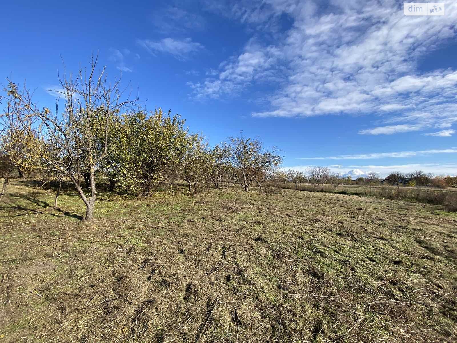 одноповерховий будинок з опаленням, 50 кв. м, дерево та цегла. Продаж у Іванкові фото 1 одноповерховий будинок з опаленням, 50 кв. м, дерево та цегла. Продаж у Іванкові фото 1