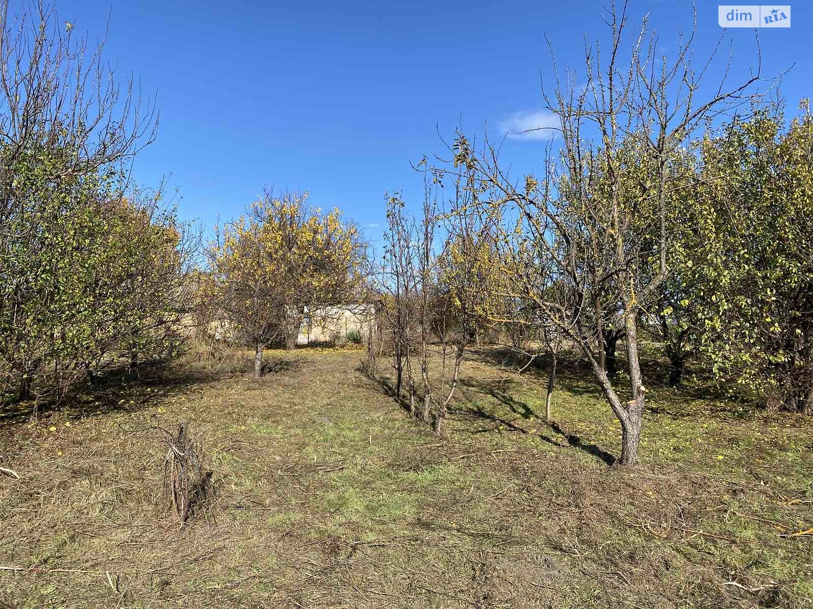 одноповерховий будинок з опаленням, 50 кв. м, дерево та цегла. Продаж у Іванкові фото 1 одноповерховий будинок з опаленням, 50 кв. м, дерево та цегла. Продаж у Іванкові фото 1