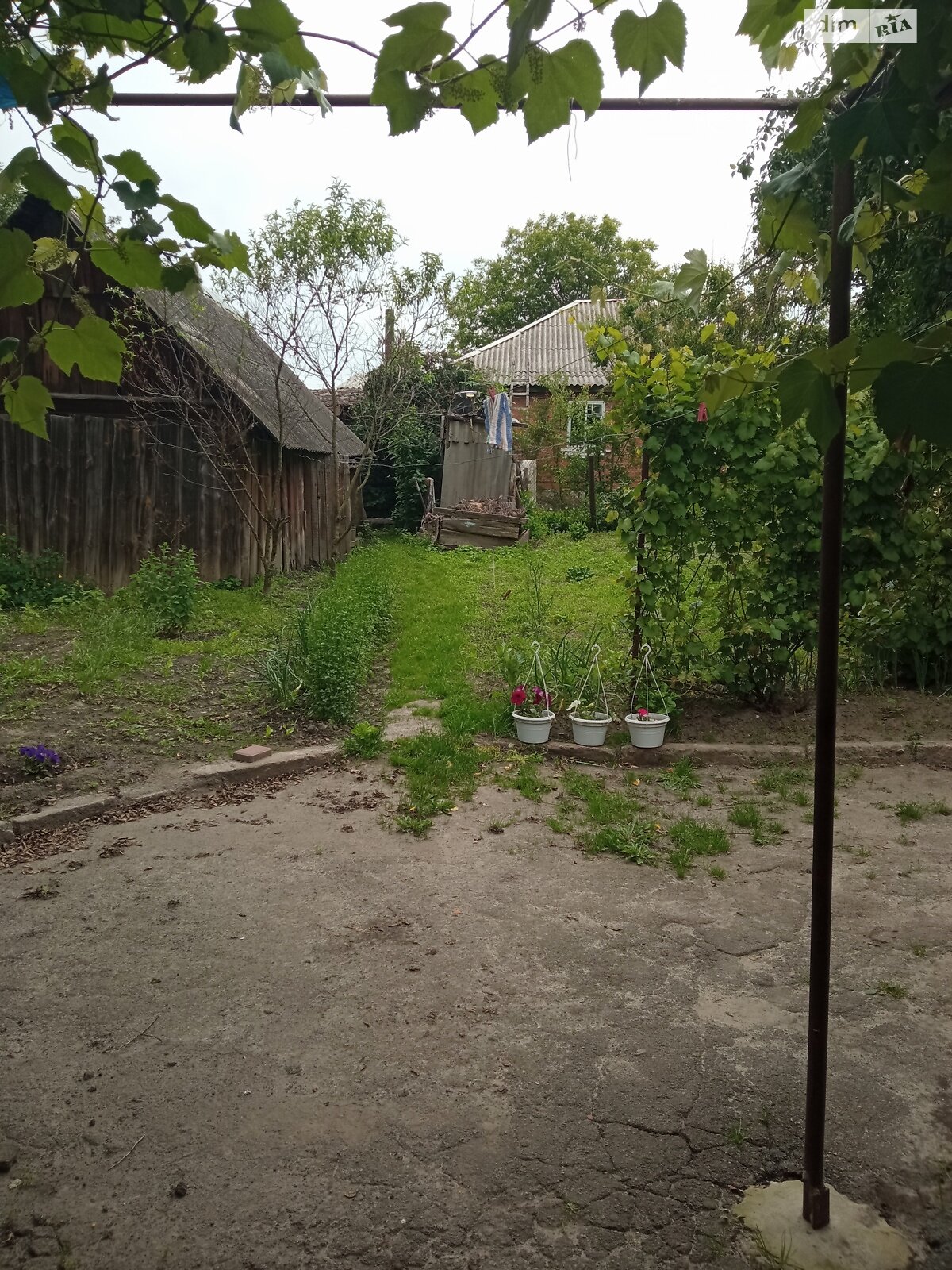 одноповерховий будинок з верандою, 55 кв. м, цегла. Продаж у Іванкові фото 1 одноповерховий будинок з верандою, 55 кв. м, цегла. Продаж у Іванкові фото 1