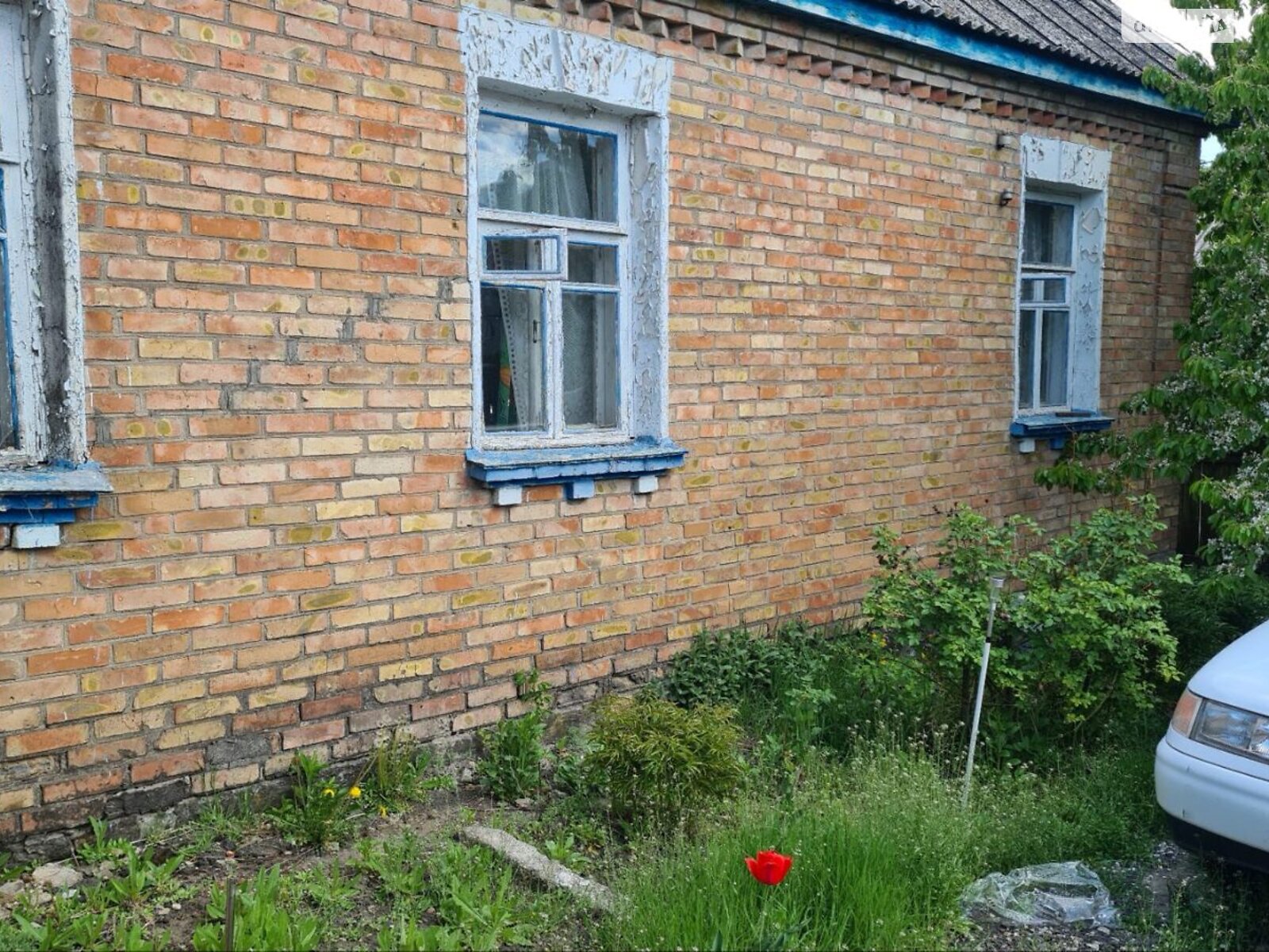 одноповерховий будинок з верандою, 102.9 кв. м, цегла. Продаж в Іванкові, район Іванків фото 1 одноповерховий будинок з верандою, 102.9 кв. м, цегла. Продаж в Іванкові, район Іванків фото 1