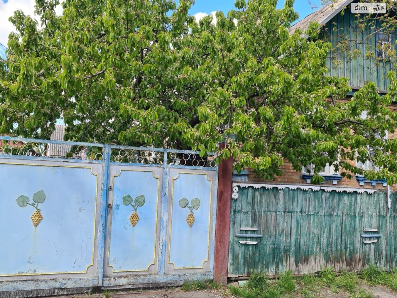 одноповерховий будинок з верандою, 102.9 кв. м, цегла. Продаж в Іванкові, район Іванків фото 1 одноповерховий будинок з верандою, 102.9 кв. м, цегла. Продаж в Іванкові, район Іванків фото 1