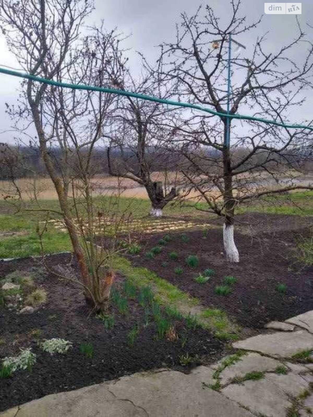 одноповерховий будинок з верандою, 76.3 кв. м, цегла. Продаж у Іванківцях фото 1 одноповерховий будинок з верандою, 76.3 кв. м, цегла. Продаж у Іванківцях фото 1
