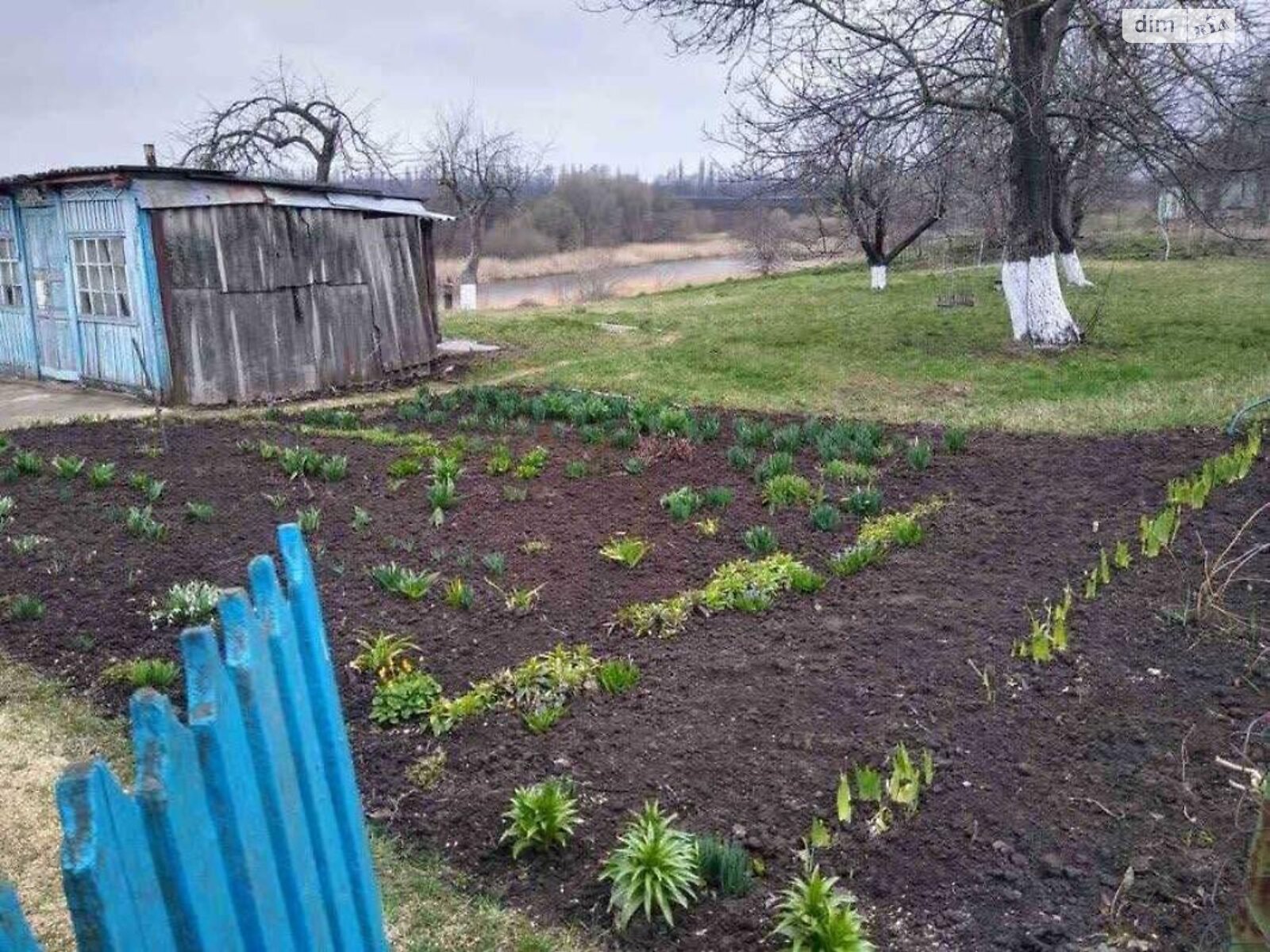 одноповерховий будинок з верандою, 76.3 кв. м, цегла. Продаж у Іванківцях фото 1 одноповерховий будинок з верандою, 76.3 кв. м, цегла. Продаж у Іванківцях фото 1