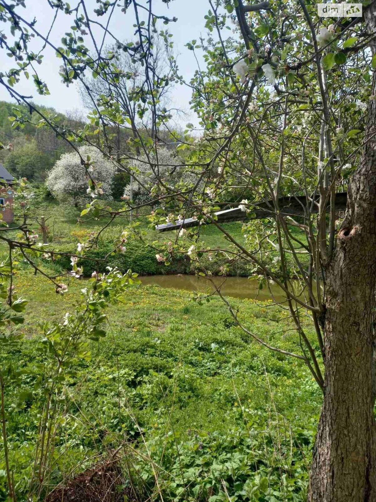 одноповерховий будинок, 38.4 кв. м, глинобитний. Продаж у Іванківцях фото 1 одноповерховий будинок, 38.4 кв. м, глинобитний. Продаж у Іванківцях фото 1