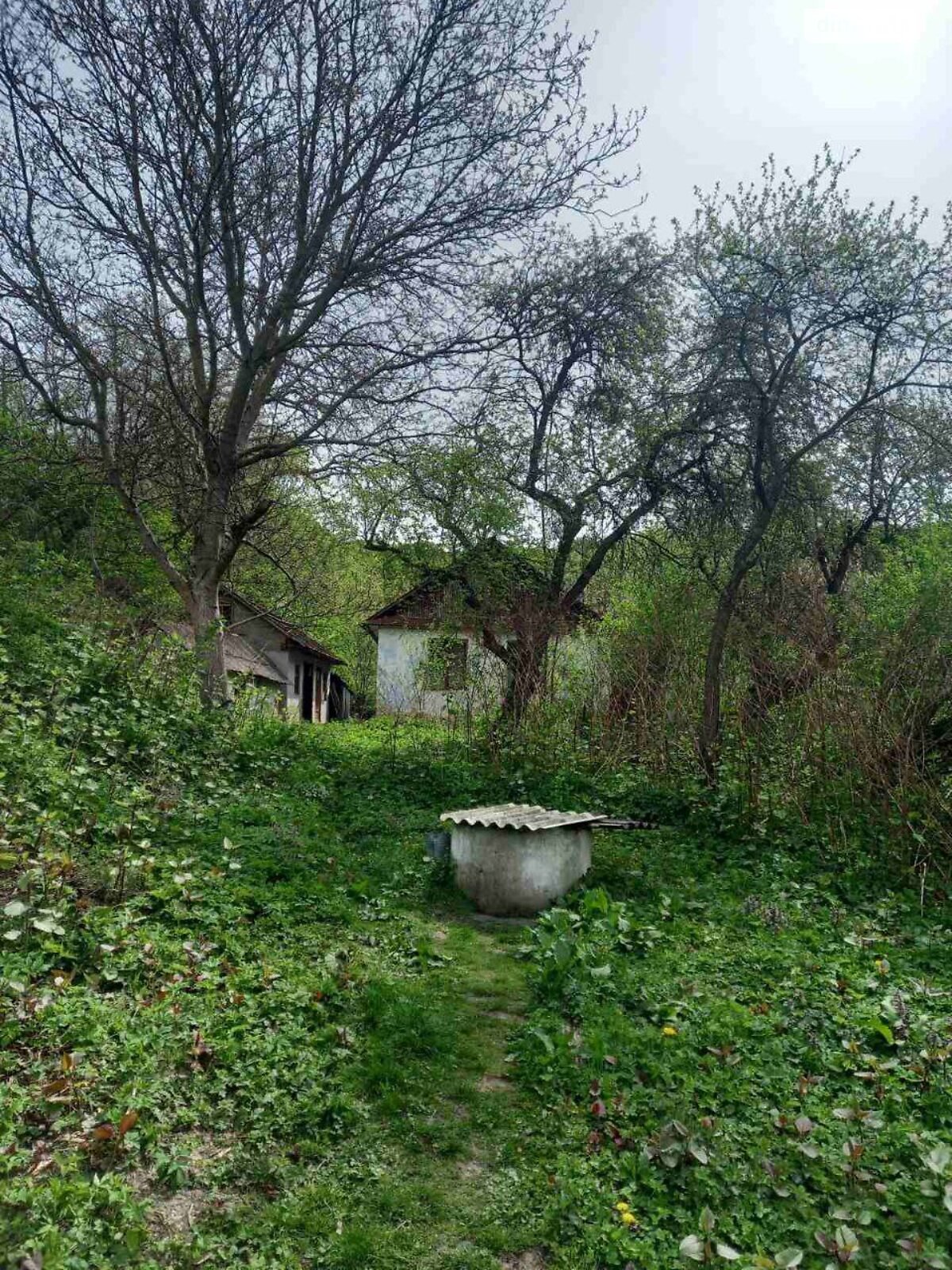 одноповерховий будинок, 38.4 кв. м, глинобитний. Продаж у Іванківцях фото 1 одноповерховий будинок, 38.4 кв. м, глинобитний. Продаж у Іванківцях фото 1