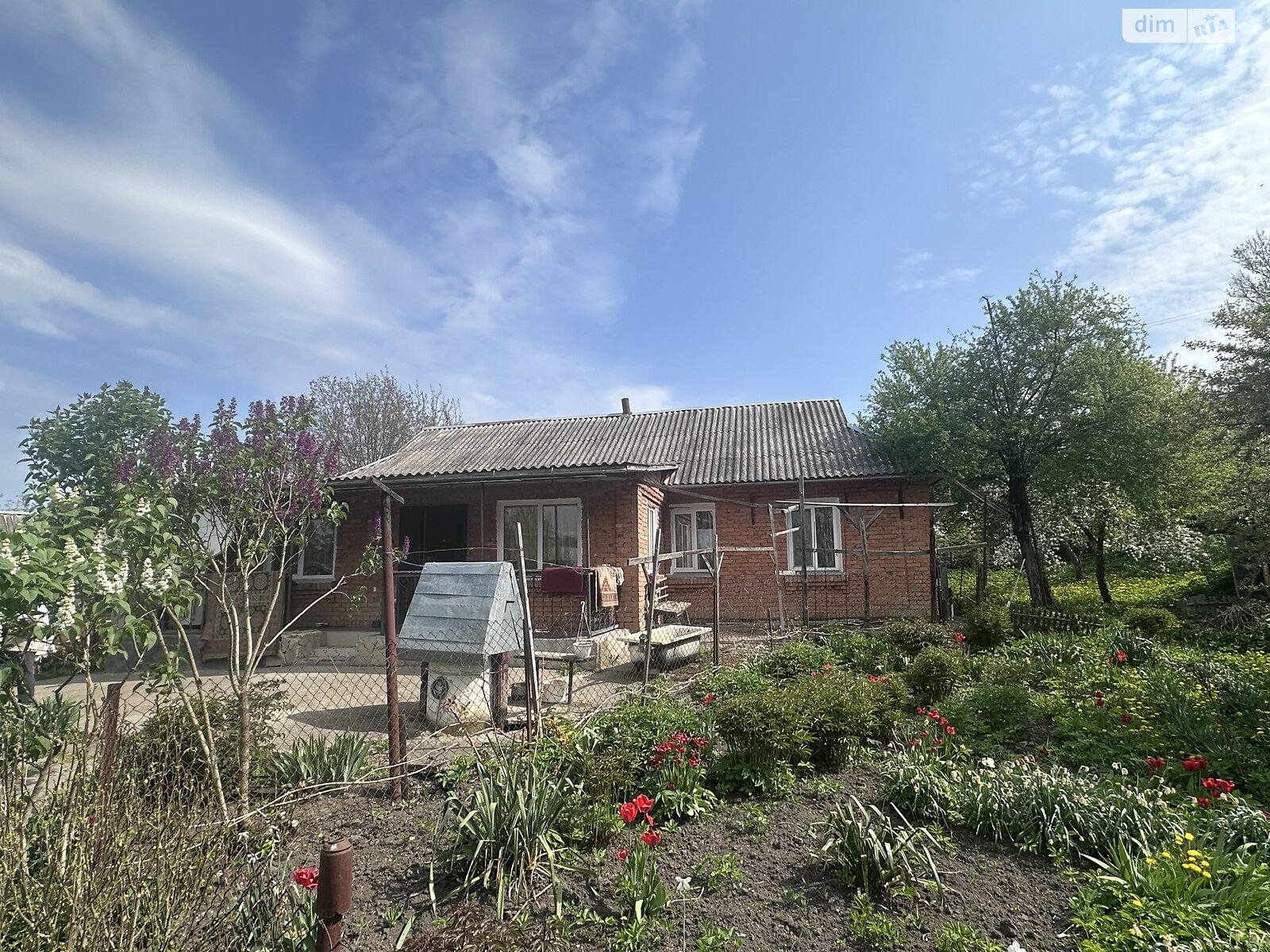 одноэтажный дом с гаражом, 96 кв. м, кирпич. Продажа в Иванковцах фото 1 одноэтажный дом с гаражом, 96 кв. м, кирпич. Продажа в Иванковцах фото 1