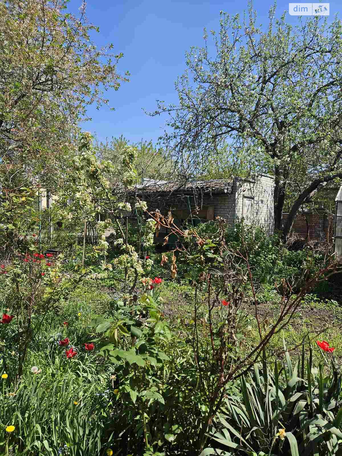 одноповерховий будинок з гаражем, 90 кв. м, цегла. Продаж в Івано-Франківську, район Брати фото 1 одноповерховий будинок з гаражем, 90 кв. м, цегла. Продаж в Івано-Франківську, район Брати фото 1