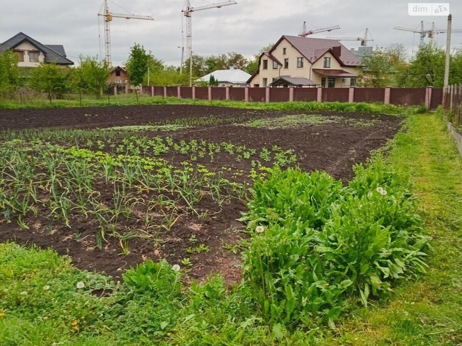 одноэтажный дом, 156 кв. м, кирпич. Продажа в Ивано-Франковске район Опришовцы фото 1 одноэтажный дом, 156 кв. м, кирпич. Продажа в Ивано-Франковске район Опришовцы фото 1