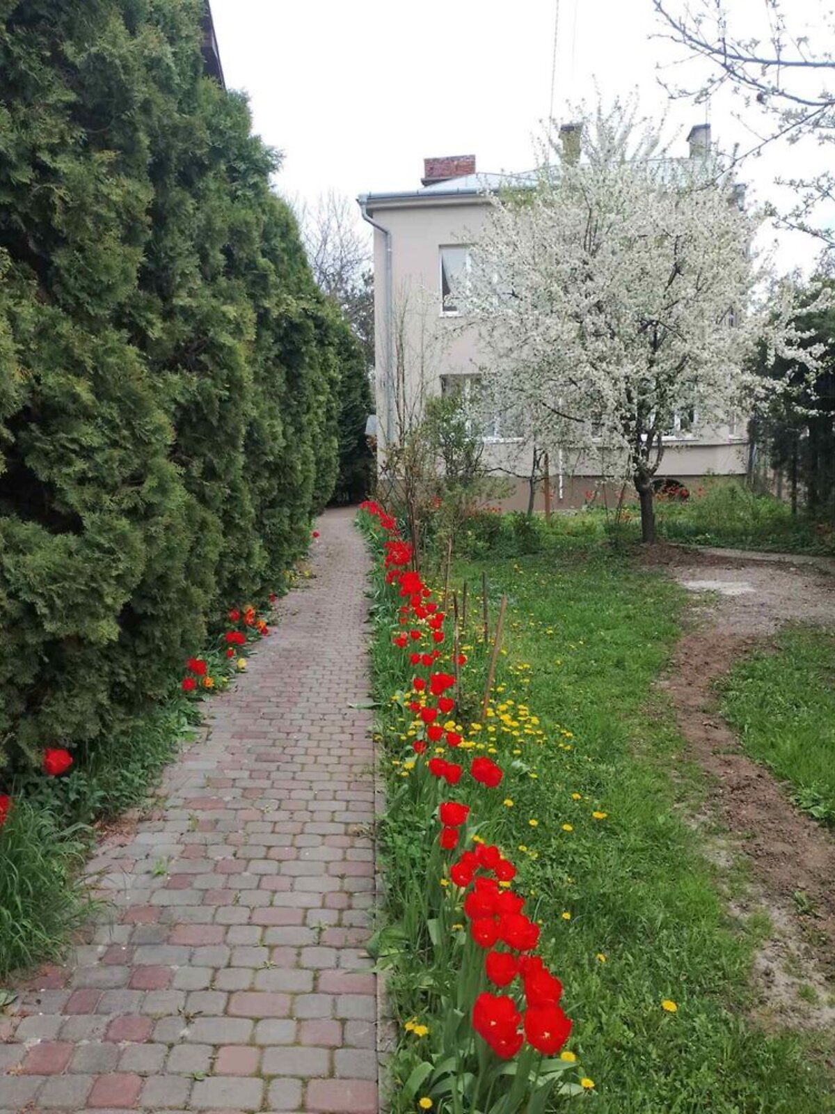 двоповерховий будинок з опаленням, 61 кв. м, цегла. Продаж у Івано-Франківську фото 1 двоповерховий будинок з опаленням, 61 кв. м, цегла. Продаж у Івано-Франківську фото 1