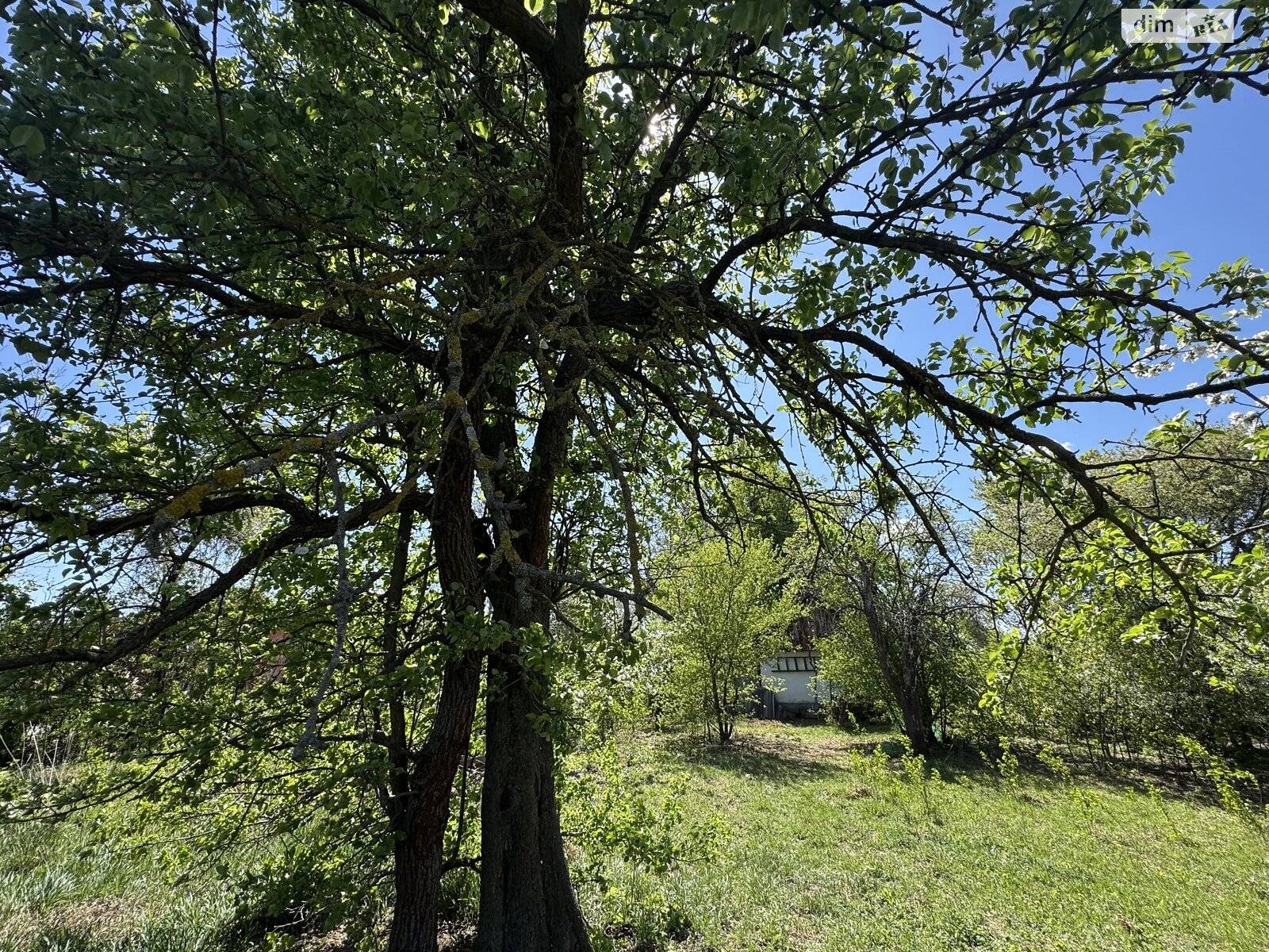 одноповерховий будинок, 65.3 кв. м, цегла. Продаж у Іванові фото 1 одноповерховий будинок, 65.3 кв. м, цегла. Продаж у Іванові фото 1