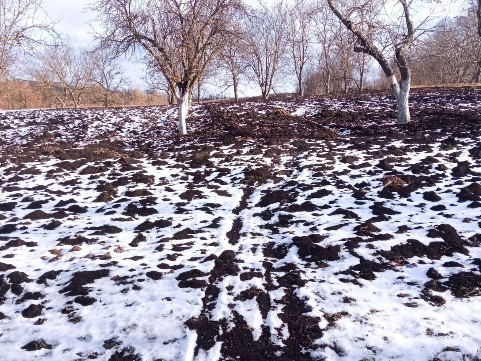 одноповерховий будинок з верандою, 80 кв. м, шлакоблок. Продаж у Івашківцях фото 1 одноповерховий будинок з верандою, 80 кв. м, шлакоблок. Продаж у Івашківцях фото 1