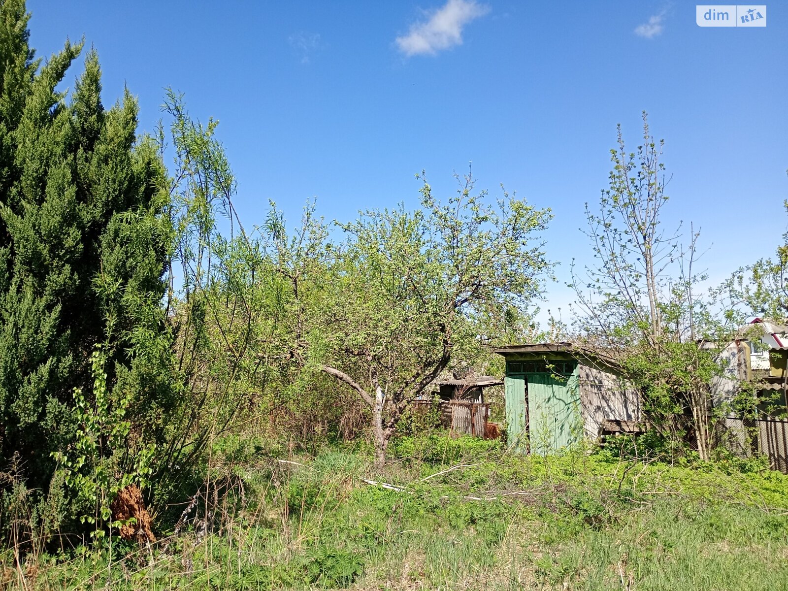 одноповерховий будинок з верандою, 100 кв. м, цегла. Продаж у Івашківцях фото 1 одноповерховий будинок з верандою, 100 кв. м, цегла. Продаж у Івашківцях фото 1