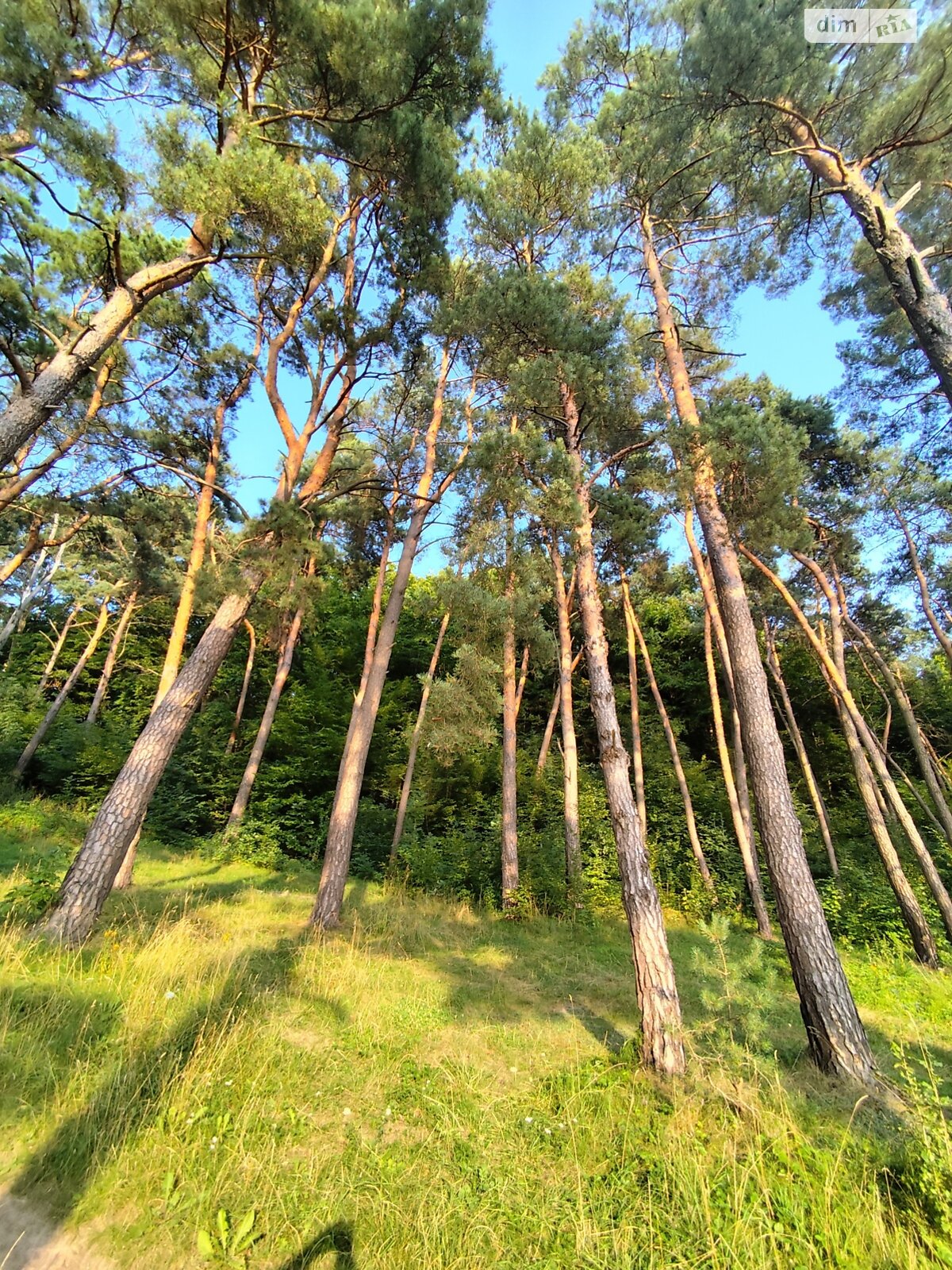 двоповерховий будинок з гаражем, 58.5 кв. м, цегла. Продаж у Стегниківцях фото 1 двоповерховий будинок з гаражем, 58.5 кв. м, цегла. Продаж у Стегниківцях фото 1
