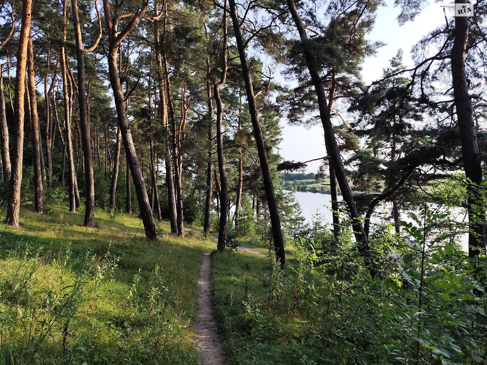 двоповерховий будинок з гаражем, 58.5 кв. м, цегла. Продаж у Стегниківцях фото 1 двоповерховий будинок з гаражем, 58.5 кв. м, цегла. Продаж у Стегниківцях фото 1