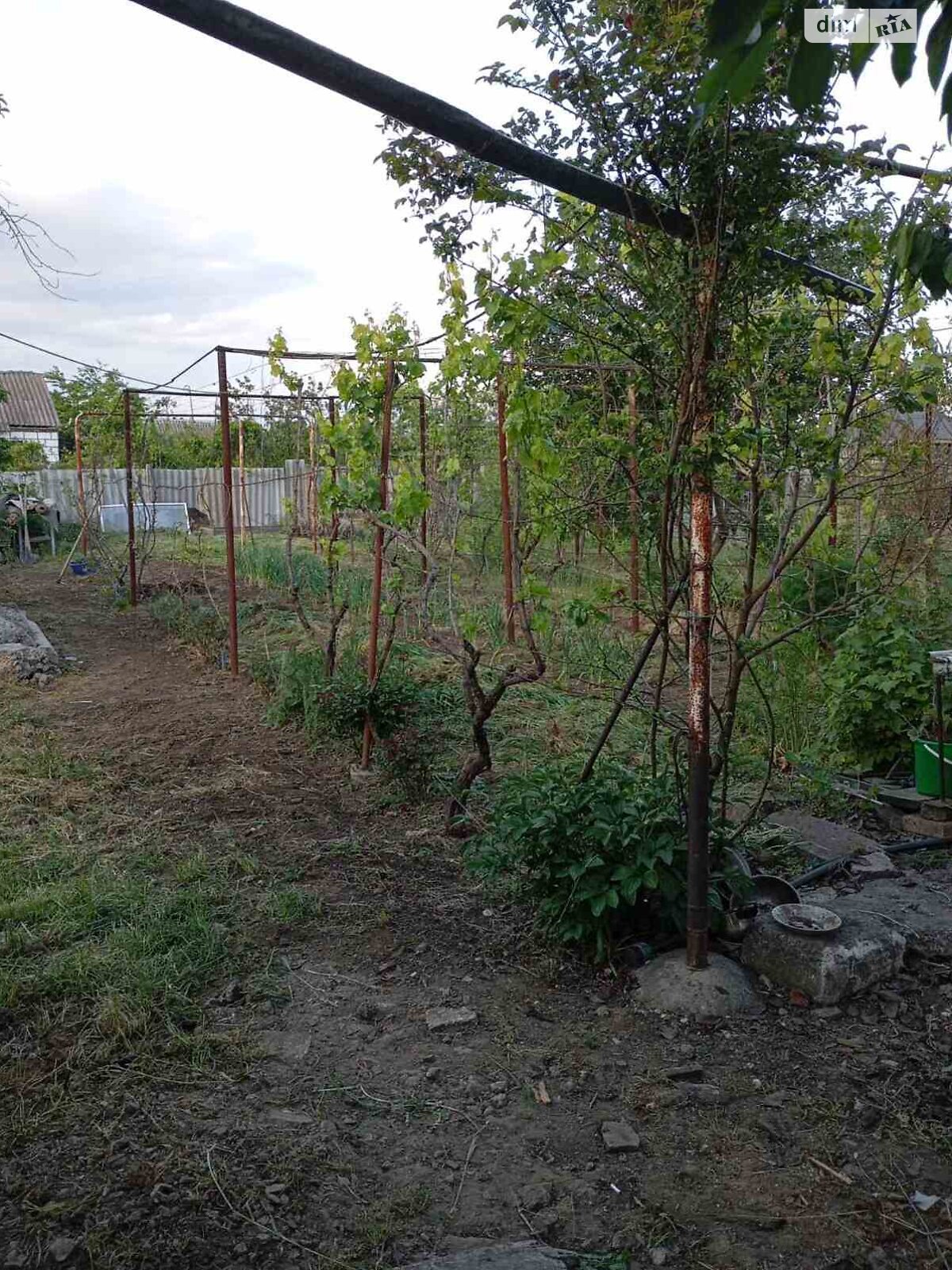 одноповерховий будинок, 60 кв. м, цегла саманна. Продаж в Ізмаїлі, район Ізмаїл фото 1 одноповерховий будинок, 60 кв. м, цегла саманна. Продаж в Ізмаїлі, район Ізмаїл фото 1