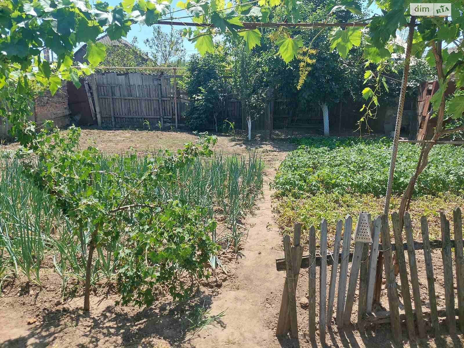 одноповерховий будинок з опаленням, 65 кв. м, цегла. Продаж у Ізмаїлі фото 1 одноповерховий будинок з опаленням, 65 кв. м, цегла. Продаж у Ізмаїлі фото 1