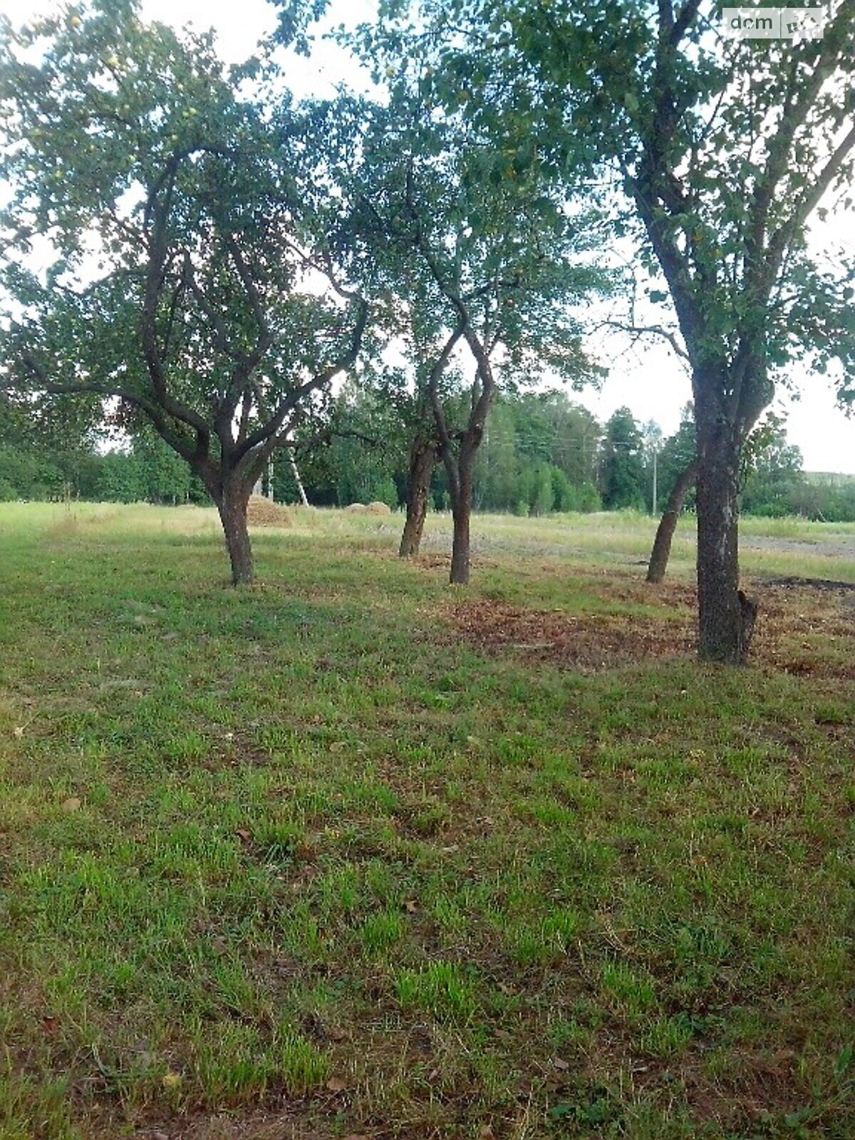 одноэтажный дом с отоплением, 42 кв. м, брус. Продажа в Жабче фото 1