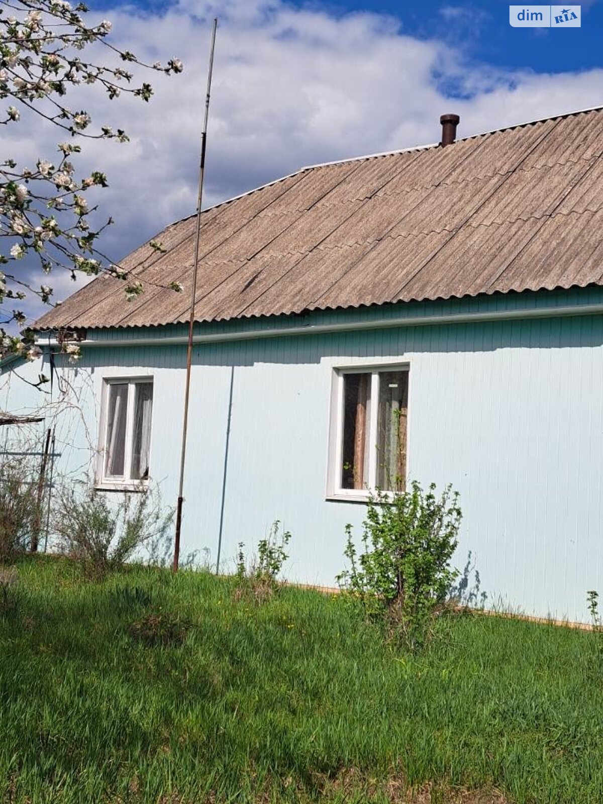 одноэтажный дом с верандой, 66 кв. м, кирпич. Продажа в Жеревой фото 1 одноэтажный дом с верандой, 66 кв. м, кирпич. Продажа в Жеревой фото 1