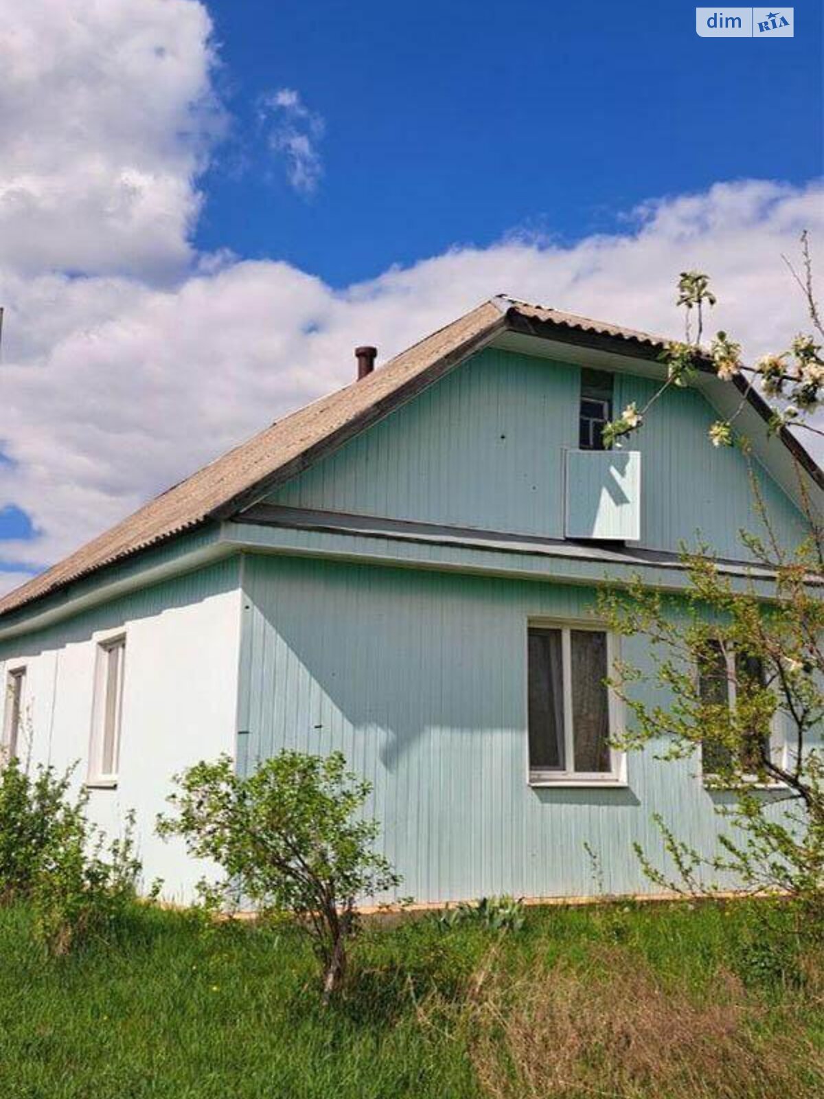 одноповерховий будинок, 60 кв. м, брус. Продаж у Жеревій фото 1 одноповерховий будинок, 60 кв. м, брус. Продаж у Жеревій фото 1