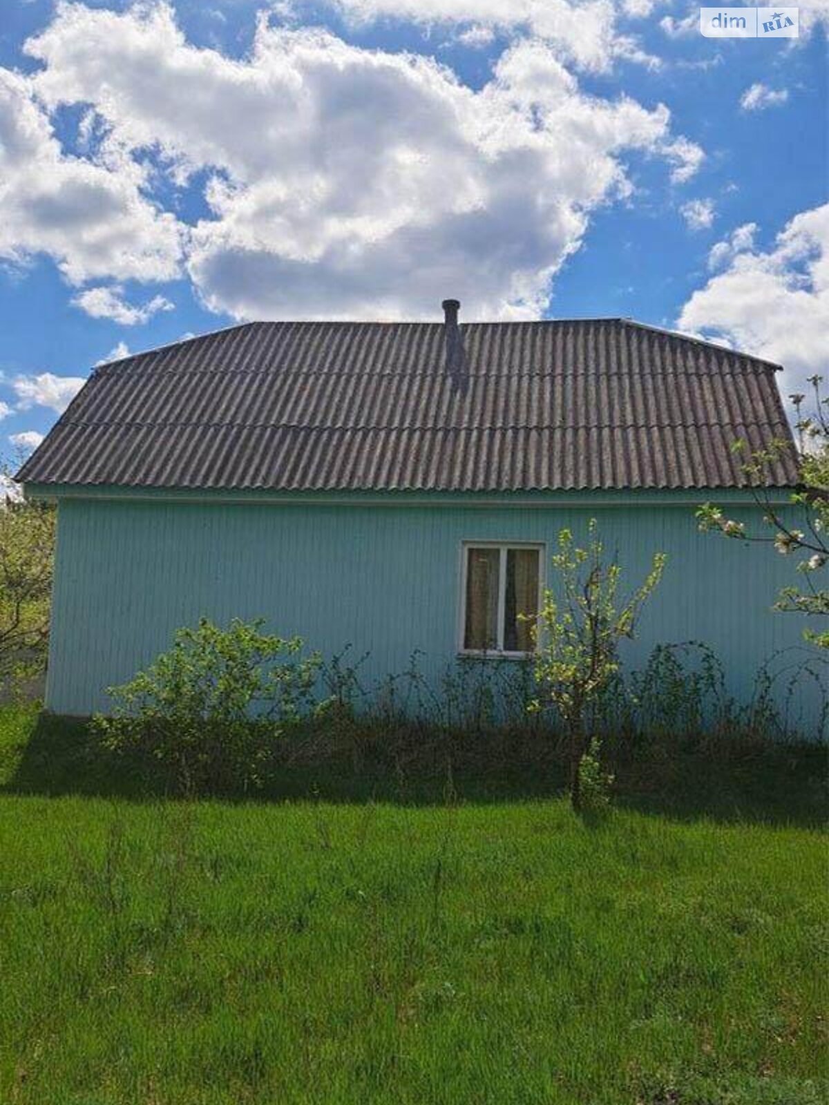 одноповерховий будинок, 60 кв. м, брус. Продаж у Жеревій фото 1 одноповерховий будинок, 60 кв. м, брус. Продаж у Жеревій фото 1