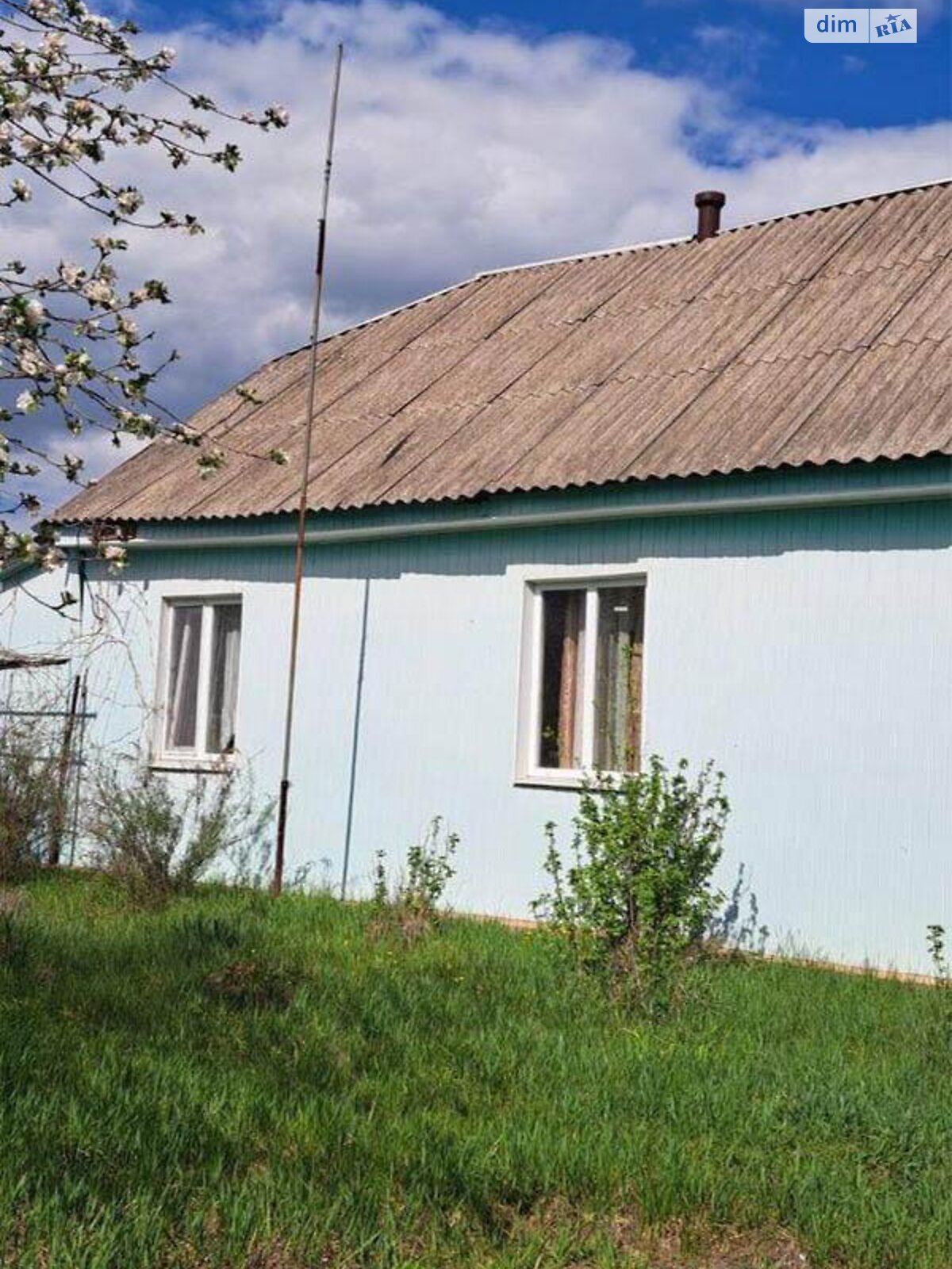 одноповерховий будинок, 60 кв. м, брус. Продаж у Жеревій фото 1 одноповерховий будинок, 60 кв. м, брус. Продаж у Жеревій фото 1