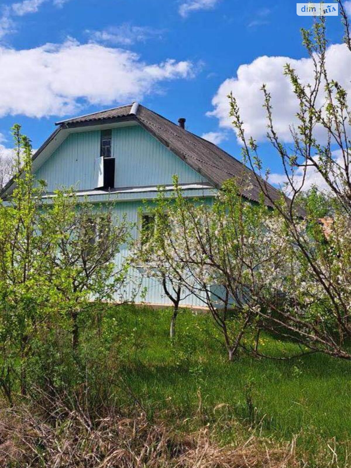 одноповерховий будинок, 60 кв. м, брус. Продаж у Жеревій фото 1 одноповерховий будинок, 60 кв. м, брус. Продаж у Жеревій фото 1