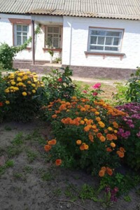 одноповерховий будинок, 60.7 кв. м, кирпич. Продаж у Житніх Горах фото 2