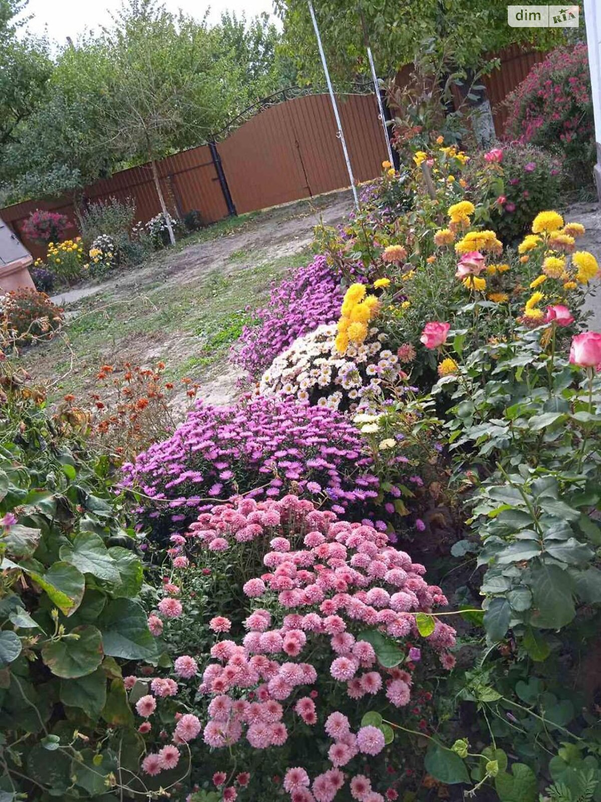одноповерховий будинок, 60 кв. м, цегла. Продаж у Житніх Горах фото 1 одноповерховий будинок, 60 кв. м, цегла. Продаж у Житніх Горах фото 1