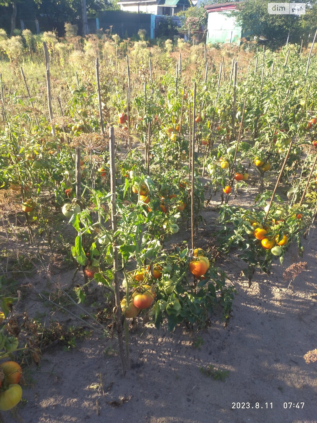 двухэтажный дом с балконом, 44 кв. м, кирпич. Продажа в Житомире фото 1 двухэтажный дом с балконом, 44 кв. м, кирпич. Продажа в Житомире фото 1