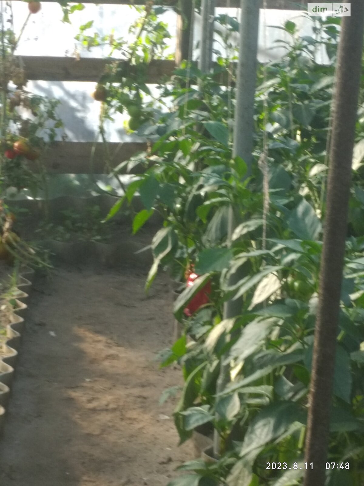 двухэтажный дом с балконом, 44 кв. м, кирпич. Продажа в Житомире фото 1 двухэтажный дом с балконом, 44 кв. м, кирпич. Продажа в Житомире фото 1