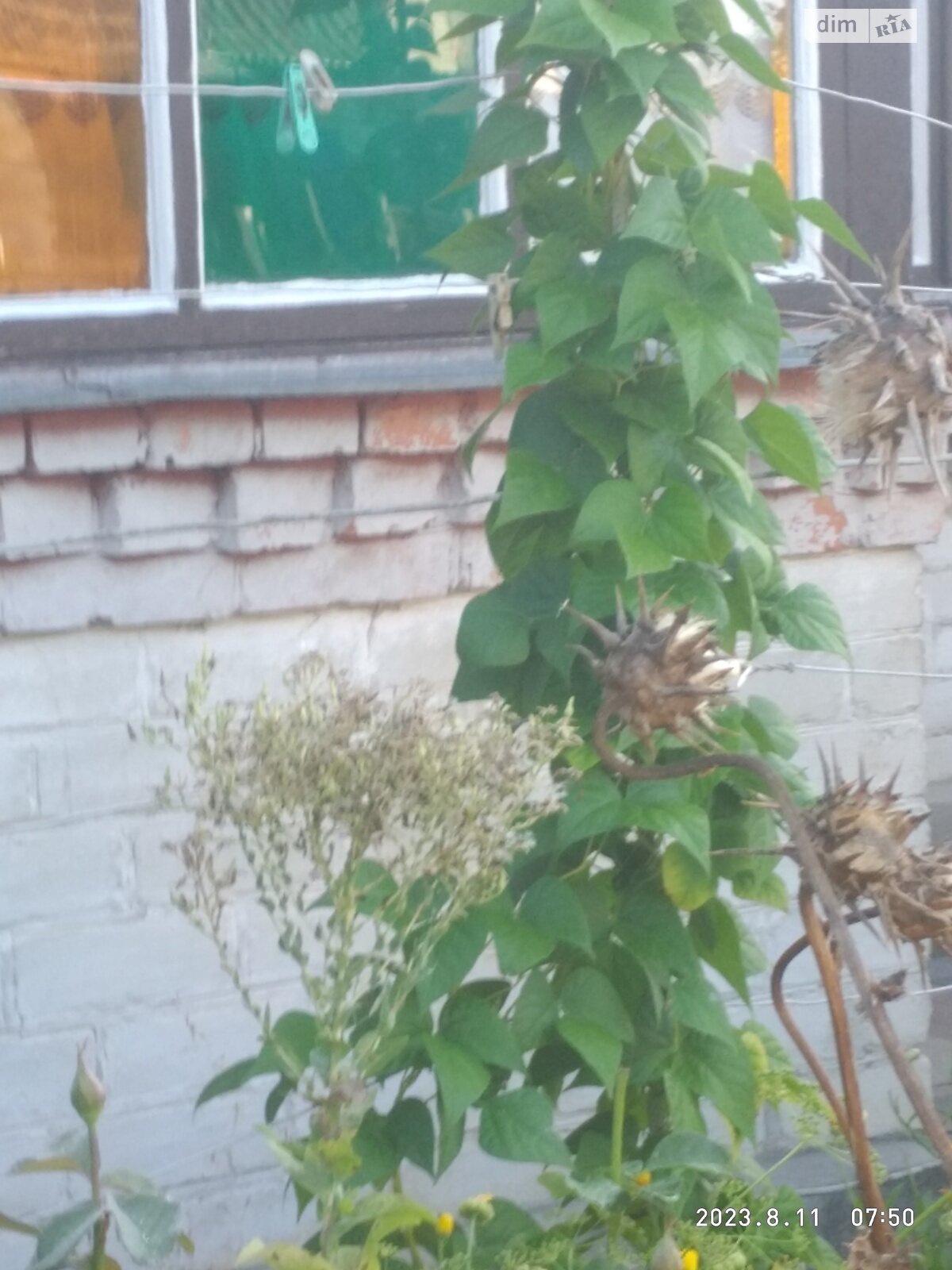 двухэтажный дом с балконом, 44 кв. м, кирпич. Продажа в Житомире фото 1 двухэтажный дом с балконом, 44 кв. м, кирпич. Продажа в Житомире фото 1