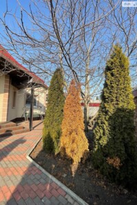 двухэтажный дом, 172 кв. м, цегла. Продажа в Житомире фото 2