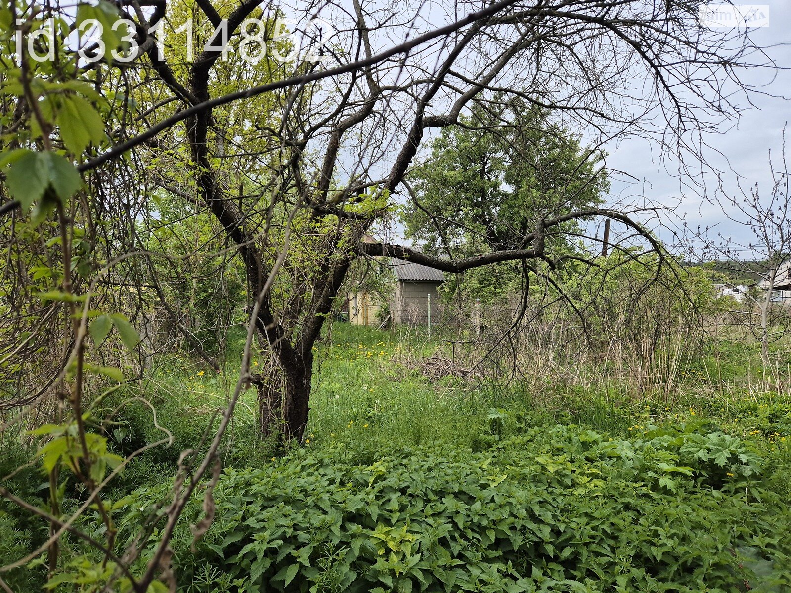 одноэтажный дом, 95 кв. м, брус. Продажа в Житомире район Богунский фото 1 одноэтажный дом, 95 кв. м, брус. Продажа в Житомире район Богунский фото 1