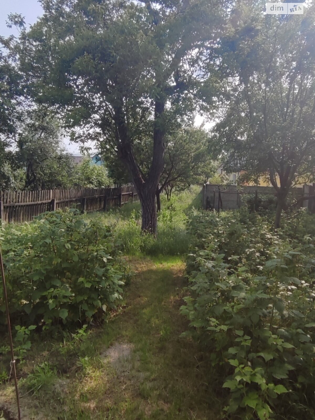 одноэтажный дом с верандой, 53 кв. м, шлакоблок. Продажа в Житомире район Чулочная фабрика фото 1 одноэтажный дом с верандой, 53 кв. м, шлакоблок. Продажа в Житомире район Чулочная фабрика фото 1