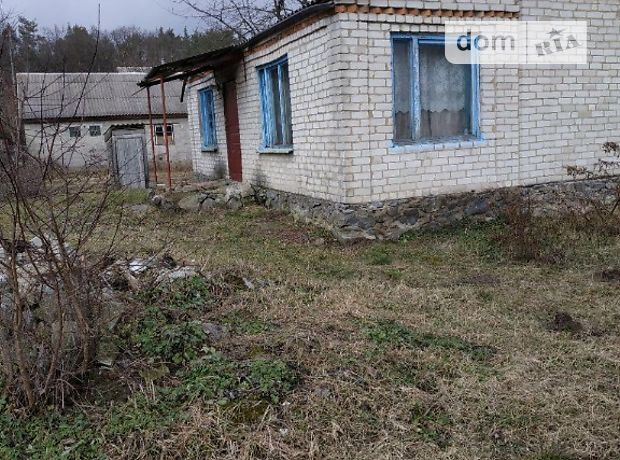 одноповерховий будинок, 85 кв. м, цегла. Продаж в Довжику (Житомирська обл.) фото 1 одноповерховий будинок, 85 кв. м, цегла. Продаж в Довжику (Житомирська обл.) фото 1
